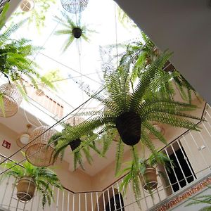 Pension Cordoba